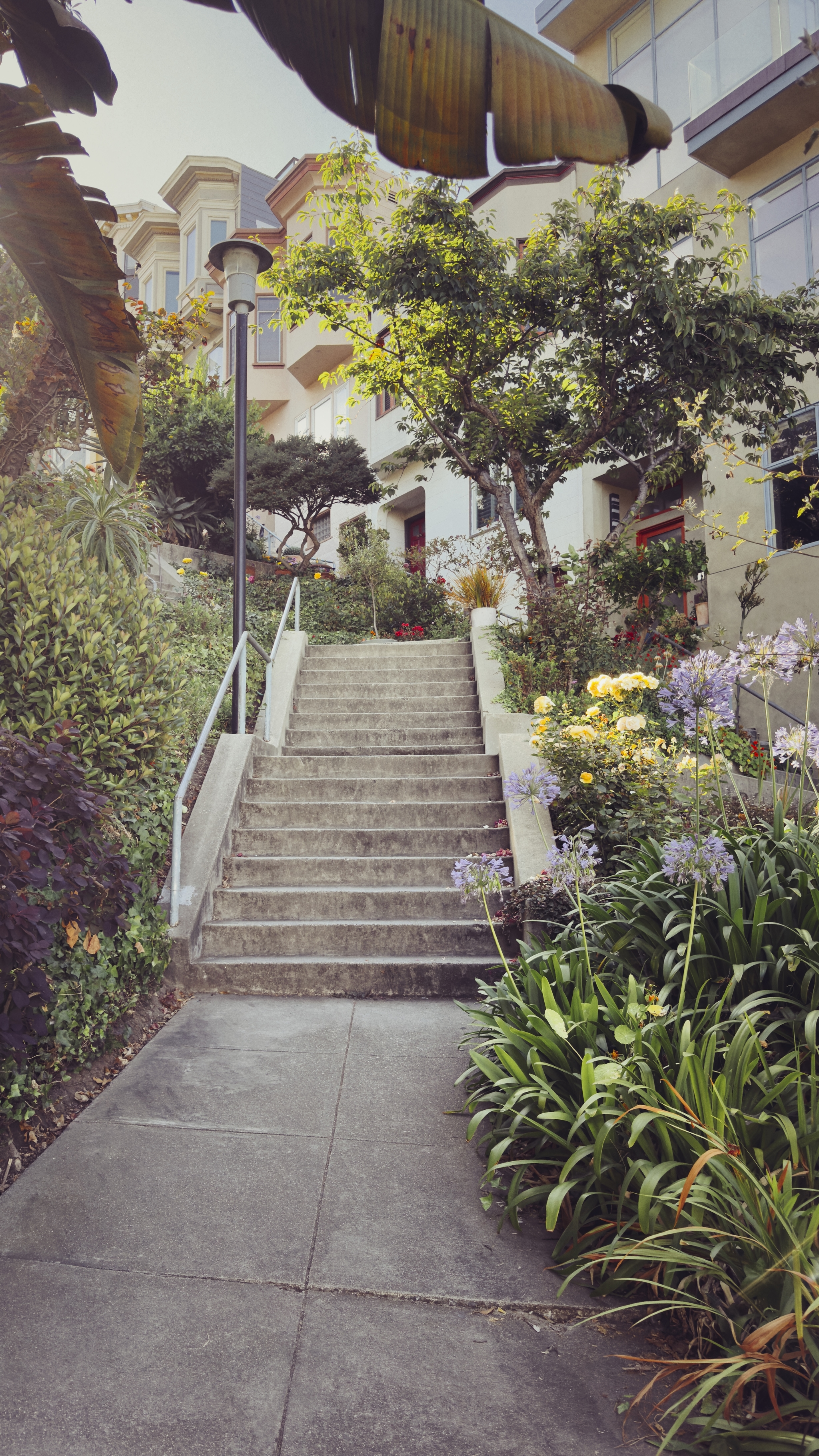 A stone staircase leads up through a lush garden with various plants and flowers, flanked by trees and a lamppost, with buildings visible in the background