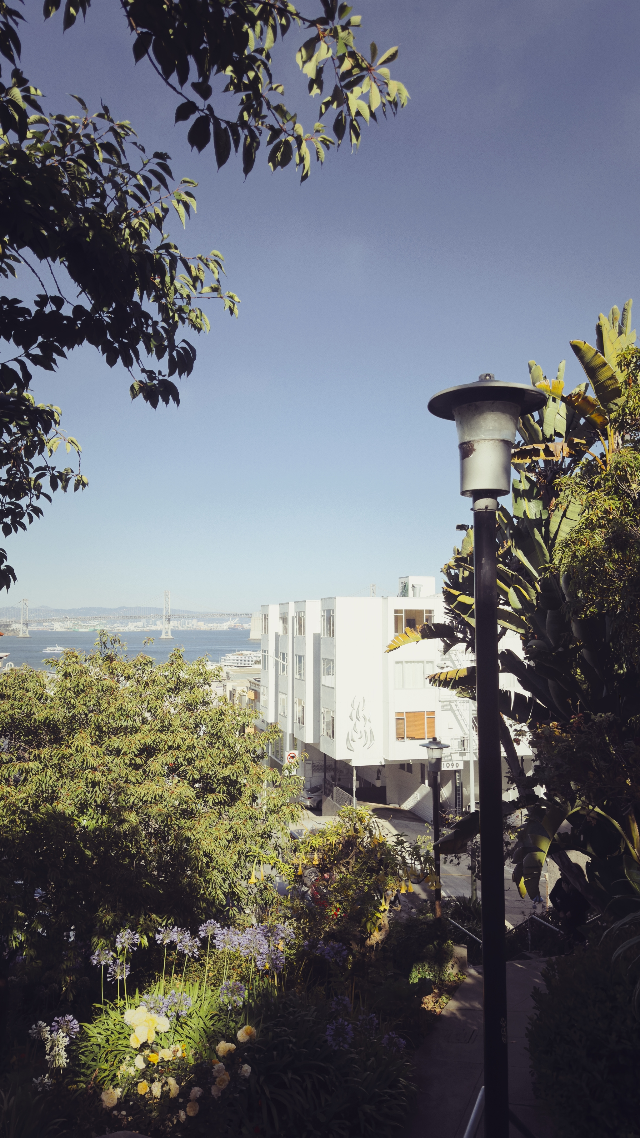 A scenic view with a streetlamp in the foreground, surrounded by lush greenery and trees. In the background, there are modern white buildings and a glimpse of the sea under a clear sky